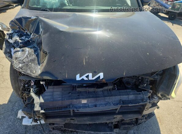 KNDPXCAG9P7032809 2023 KIA SPORTAGE Black Widok wnętrza z tyłu