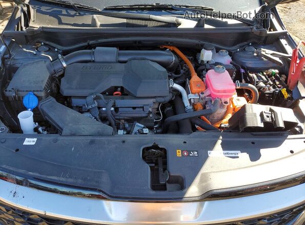 KNDPXCDG4S7252766 2025 KIA SPORTAGE Gray Սալոնի հետևի տեսք