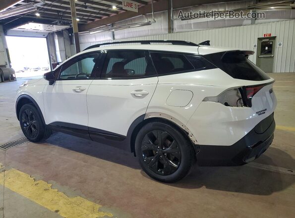 KNDPYDDH9S7190793 2025 KIA SPORTAGE White Trasero izquierdo