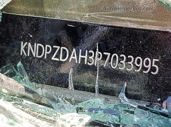 KNDPZDAH3P7033995 2023 KIA SPORTAGE Green VIN კოდის სტიკერის ხედი