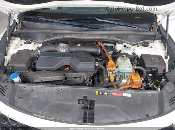 KNDRH4LG0M5045626 2021 KIA SORENTO HYBRID White უკანა ხედი