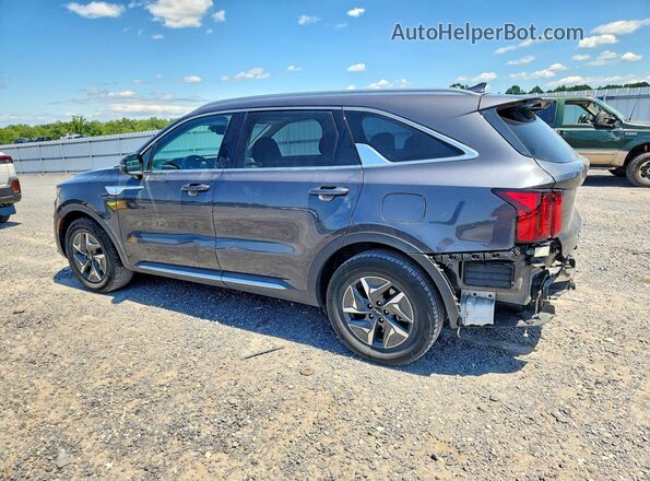 KNDRH4LG5N5085136 2022 KIA SORENTO Gray Հետևի ձախ