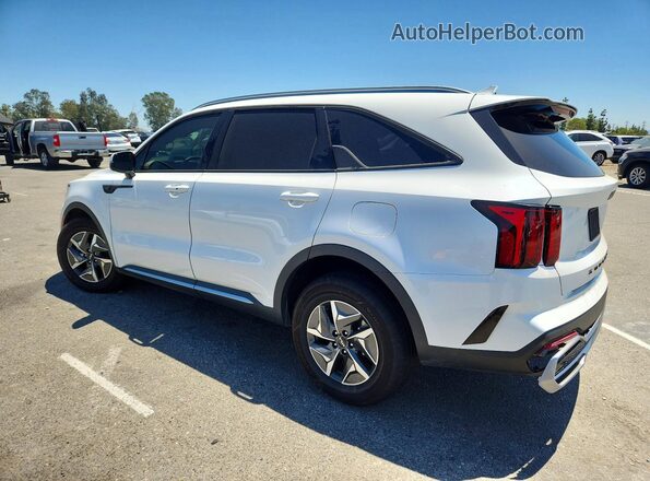 KNDRH4LG7N5095666 2022 KIA SORENTO Белый Задняя левая четверть