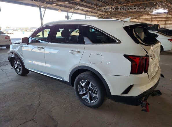 KNDRH4LG8P5217177 2023 KIA SORENTO Белый Задняя левая четверть