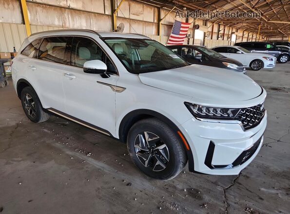 KNDRH4LG8P5217177 2023 KIA SORENTO Белый Передняя правая четверть