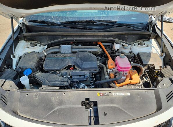 KNDRH4LG9P5187543 2023 KIA SORENTO White Вид задньої частини салону