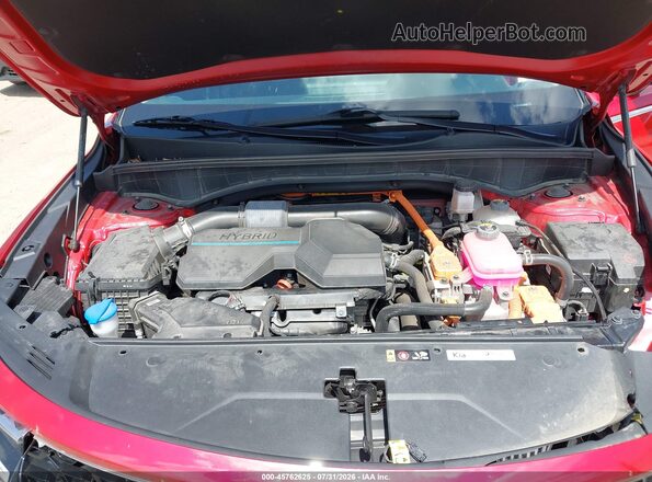 KNDRHDLG5P5180914 2023 KIA SORENTO HYBRID Red Rear view