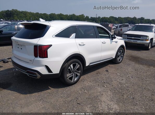 KNDRMDLG3P5139242 2023 KIA SORENTO HYBRID White Задня права чверть