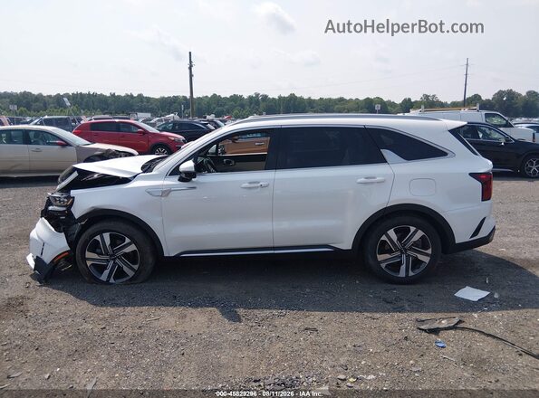 KNDRMDLG3P5139242 2023 KIA SORENTO HYBRID White Панорамний вид салону 360°