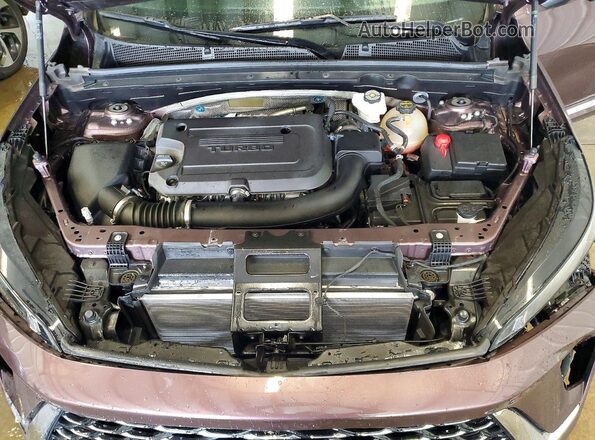 LRBFZME43SD033118 2025 BUICK ENVISION Фиолетовый Вид подкапотного пространства