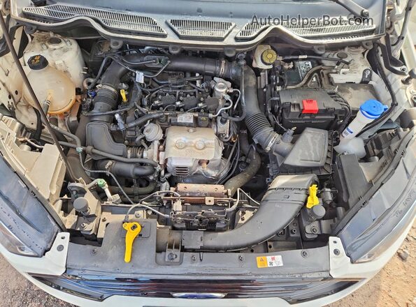 MAJ3S2FE7MC438837 2021 FORD ECOSPORT White Rear interior view