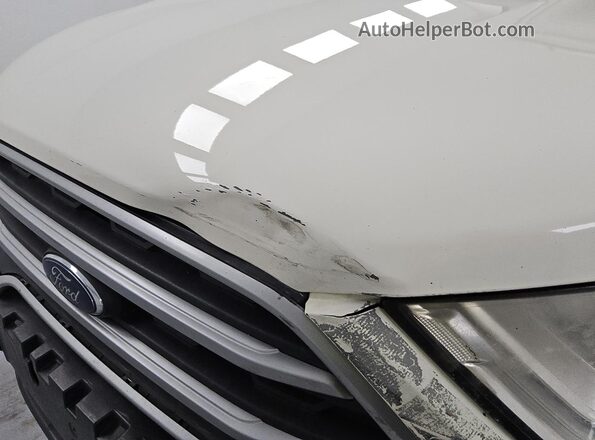 MAJ3S2GE1LC352047 2020 FORD ECOSPORT White 