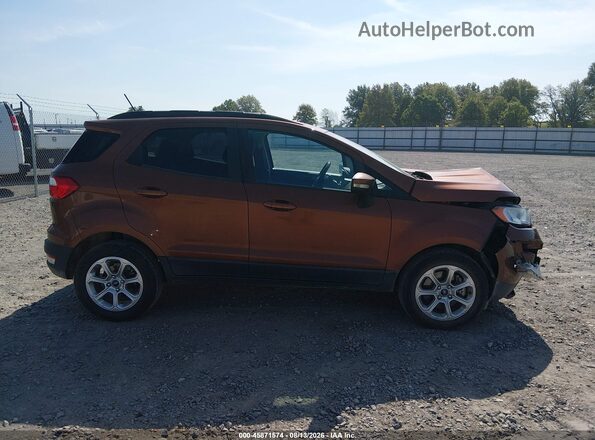 MAJ3S2GE2LC328646 2020 FORD ECOSPORT Коричневый Вид задней части салона