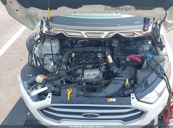 MAJ3S2GE8MC403075 2021 FORD ECOSPORT White Widok z tyłu