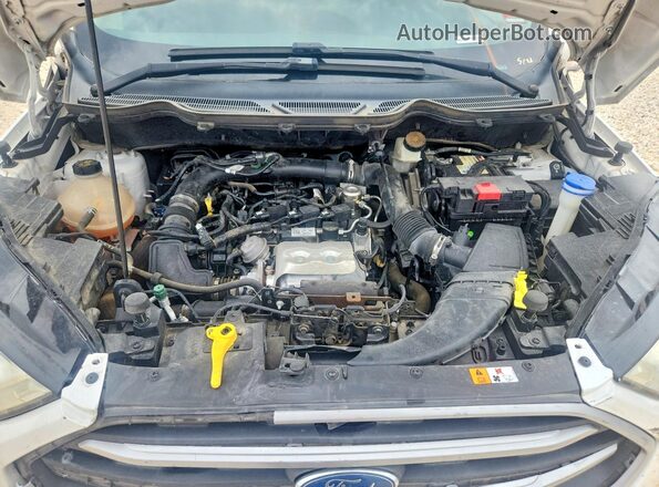 MAJ3S2GE9MC399411 2021 FORD ECOSPORT White Շարժիչի բաժամունքի տեսք