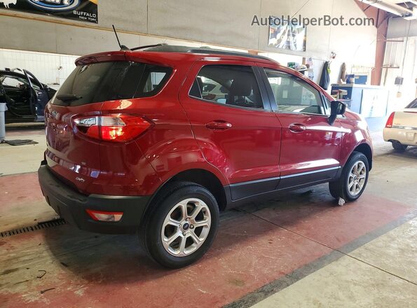 MAJ6S3GL0KC262159 2019 FORD ECOSPORT Red უკანა მარჯვენა