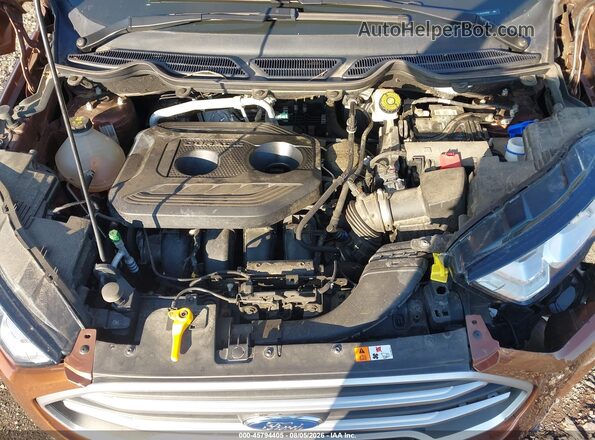 MAJ6S3GL0LC315332 2020 FORD ECOSPORT Brown Widok z tyłu
