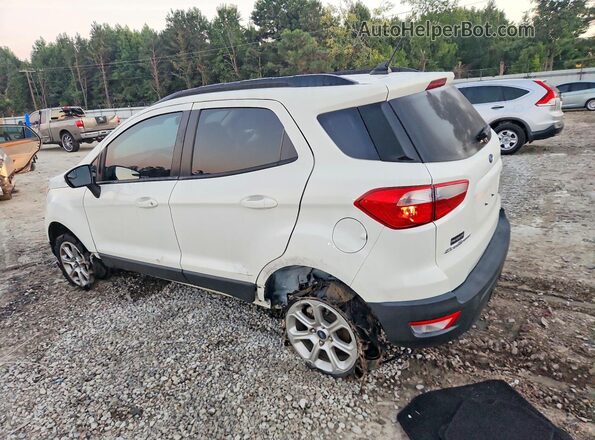 MAJ6S3GL3NC474400 2022 FORD ECOSPORT White Հետևի ձախ