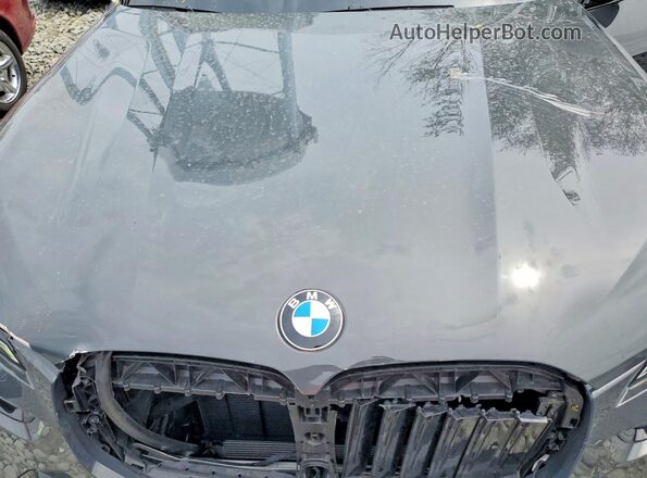 NJ2447E 2025 BMW X7 Gray Շարժիչի բաժամունքի տեսք