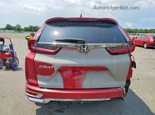NY77542 2022 HONDA CR-V Красный Вид сзади