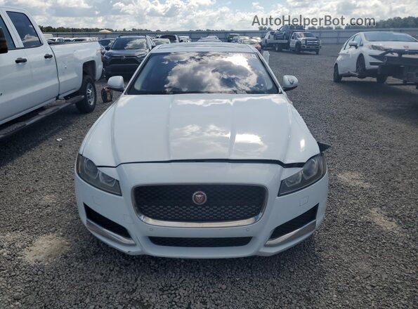 SAJBE4BV8GCY03708 2016 JAGUAR XF White წინა ხედი