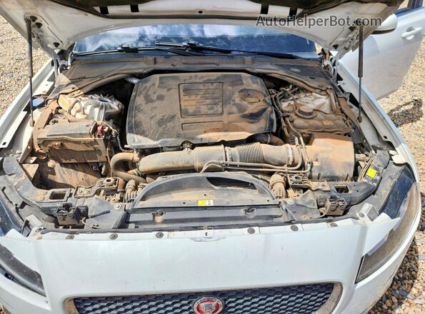 SAJBJ4FX9KCY79468 2019 JAGUAR XF White Սալոնի հետևի տեսք