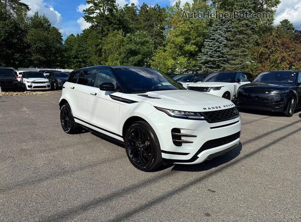 SALZT2GX1LH008300 2020 LAND ROVER RANGE White Rear left