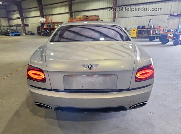 SCBEJ9ZA7HC063466 2017 BENTLEY OTHER Silver Vista del compartimento del motor