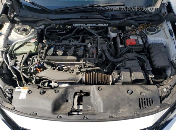SHHFK7H40MU226310 2021 HONDA CIVIC White Սալոնի հետևի տեսք