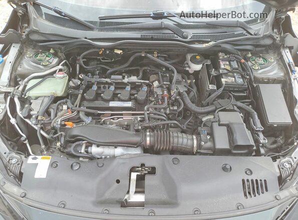SHHFK7H43LU218586 2020 HONDA CIVIC Charcoal Սալոնի հետևի տեսք