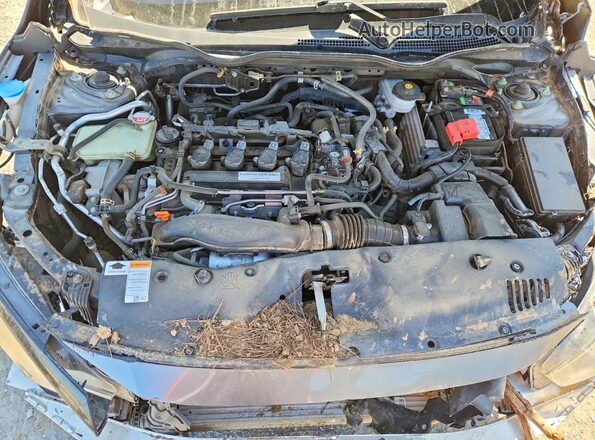 SHHFK7H58HU208877 2017 HONDA CIVIC Gray უკანა სალონის ხედი