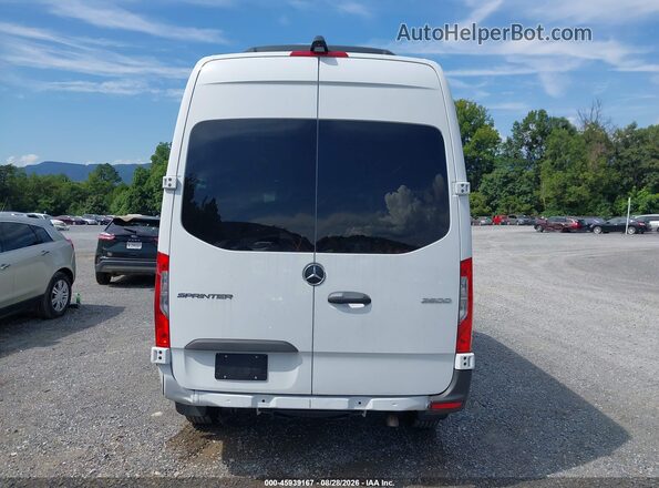 W1Z4KFHY7SP809795 2025 MERCEDES-BENZ SPRINTER Белый 