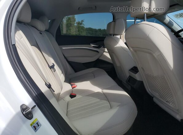 WA12AAGE9MB001410 2021 AUDI E-TRON White Սալոնի հետևի տեսք