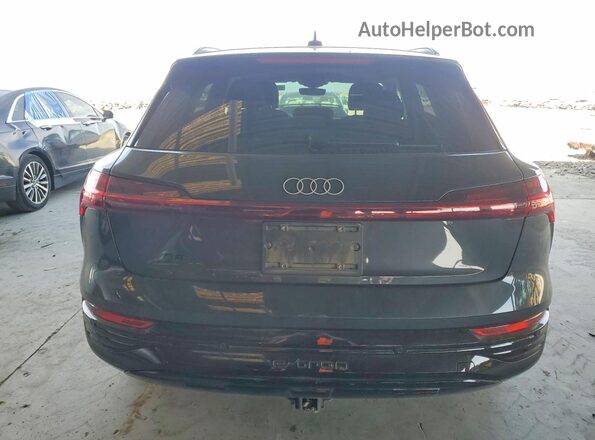WA15AAGE1RB045535 2024 AUDI Q8 Gray Widok z tyłu