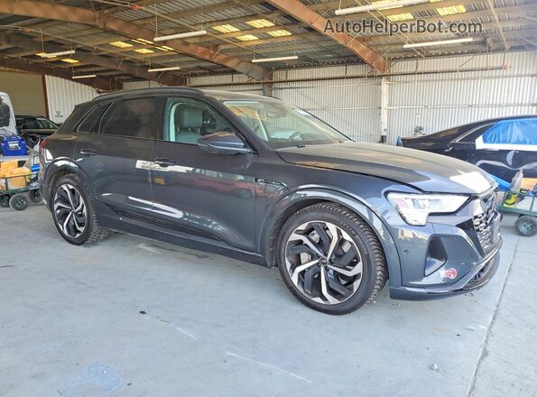 WA15AAGE1RB045535 2024 AUDI Q8 Gray Przód prawy