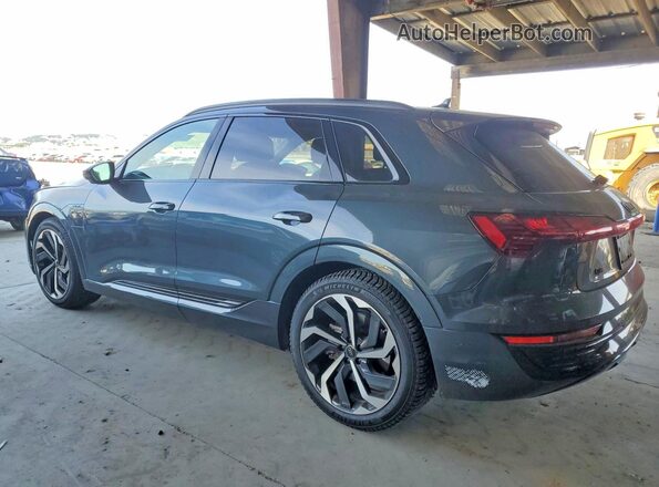 WA15AAGE1RB045535 2024 AUDI Q8 Gray Tył lewy