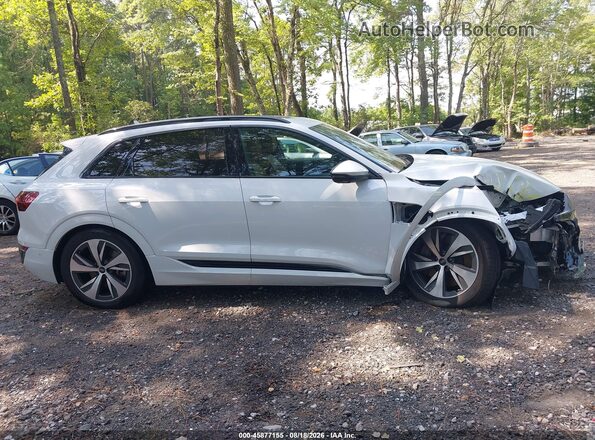 WA15AAGE3RB030681 2024 AUDI Q8 E-TRON White უკანა სალონის ხედი