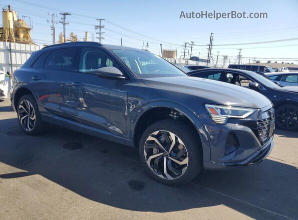 WA15AAGE6RB037737 2024 AUDI Q8 Gray Delantero derecho