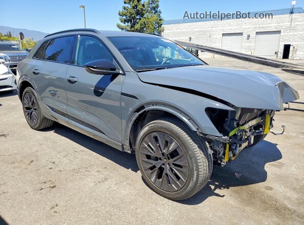 WA16AAGE7RB026301 2024 AUDI Q8 Gray Delantero derecho