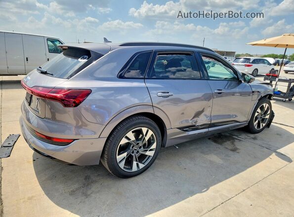 WA1AAAGE1MB022232 2021 AUDI E-TRON Gray უკანა მარჯვენა