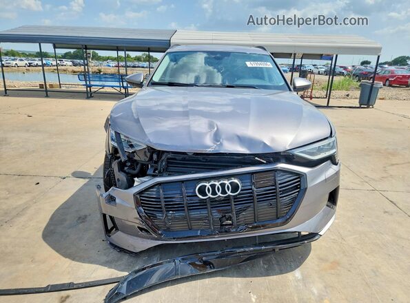 WA1AAAGE1MB022232 2021 AUDI E-TRON Gray წინა ხედი