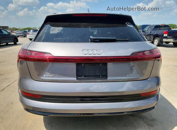 WA1AAAGE1MB022232 2021 AUDI E-TRON Gray უკანა ხედი