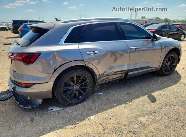 WA1AAAGE2MB006024 2021 AUDI E-TRON Gray Tył prawy