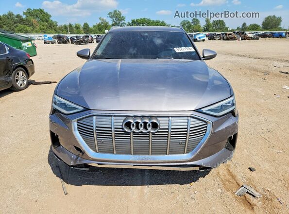 WA1AAAGE2MB006024 2021 AUDI E-TRON Gray Widok z przodu