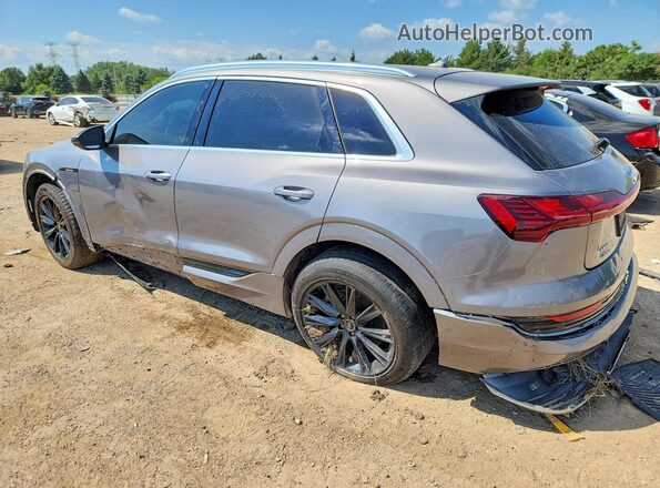 WA1AAAGE2MB006024 2021 AUDI E-TRON Gray Tył lewy