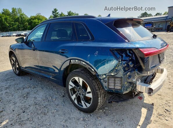 WA1AAAGE8MB038315 2021 AUDI E-TRON Blue Հետևի ձախ
