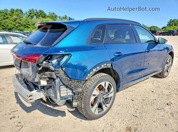 WA1AAAGE8MB038315 2021 AUDI E-TRON Blue Հետևի աջ