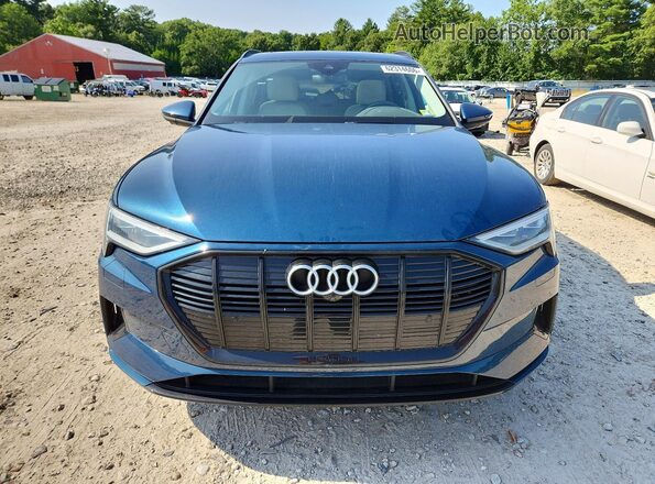 WA1AAAGE8MB038315 2021 AUDI E-TRON Blue Դիմացի տեսք