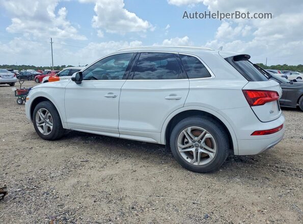 WA1ANAFY0K2045580 2019 AUDI Q5 White უკანა მარცხენა