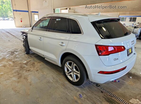 WA1ANAFY4K2136142 2019 AUDI Q5 White Հետևի ձախ